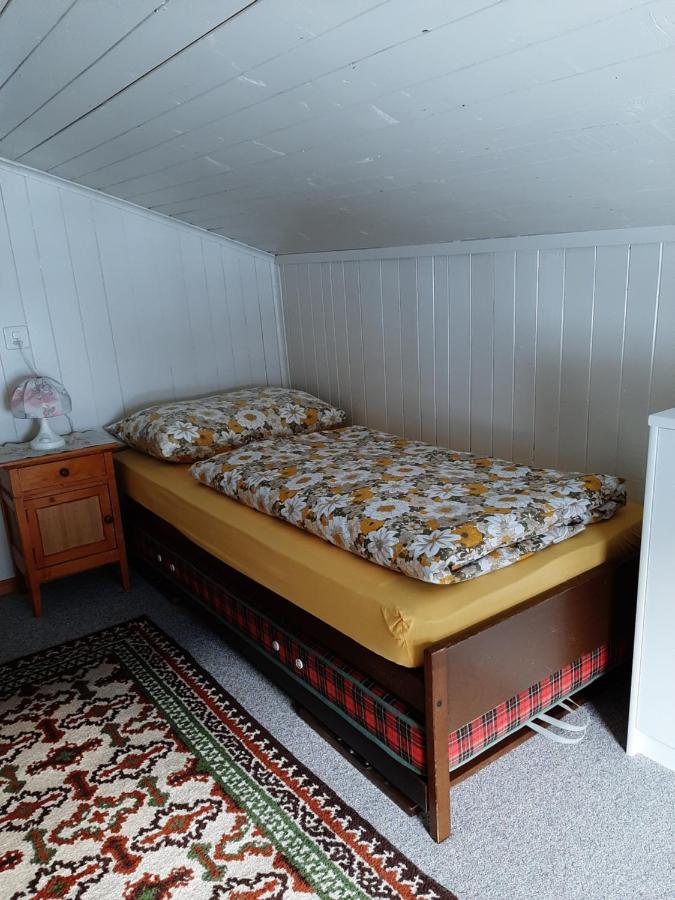 Casa Schuoler Apartment Disentis Ngoại thất bức ảnh